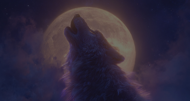 Wolf Gold